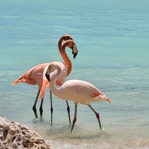 Meet your Posher, Eliska